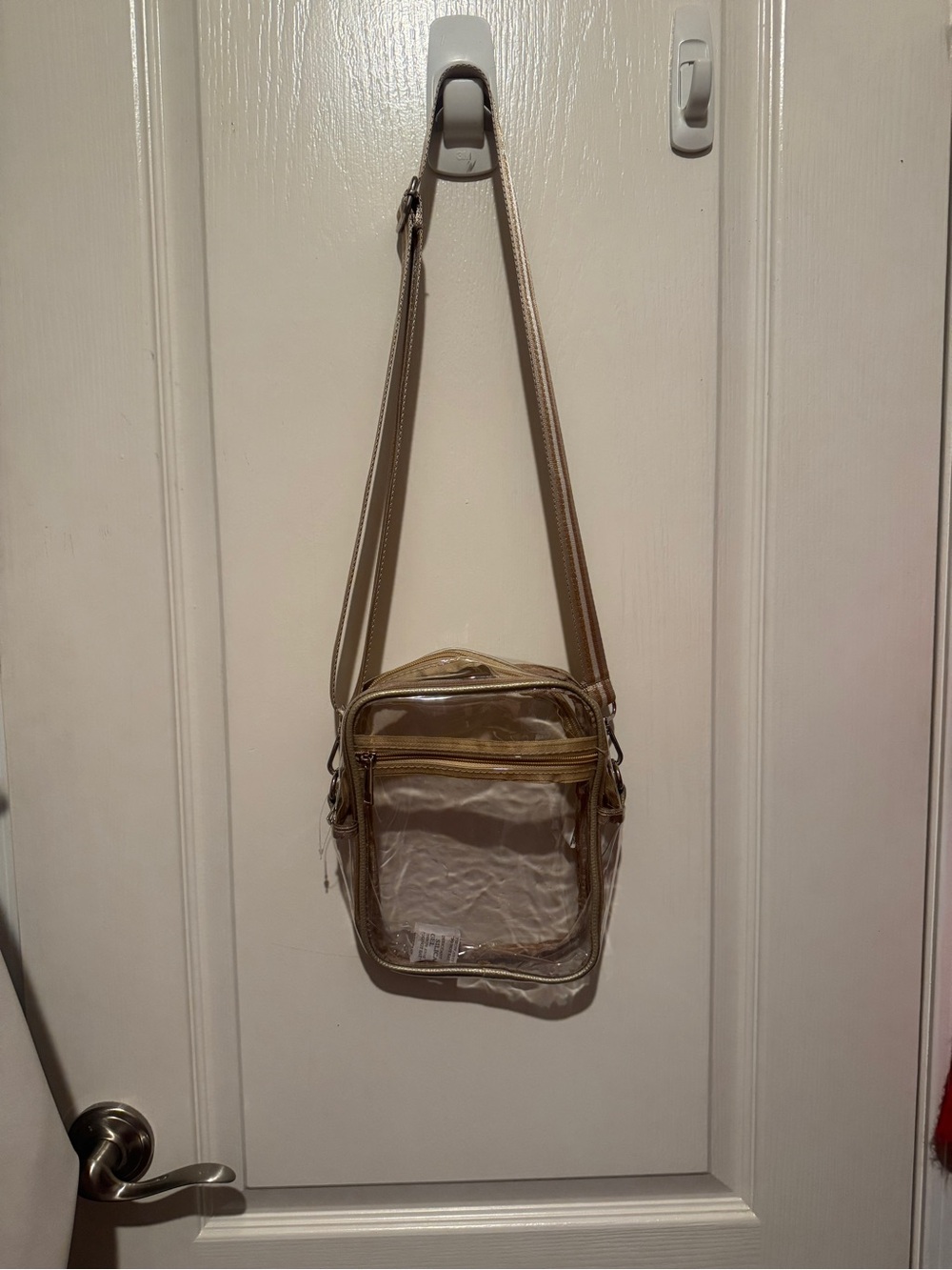 Clear Vinyl Crossbody Bag in Metallic Gold Trim